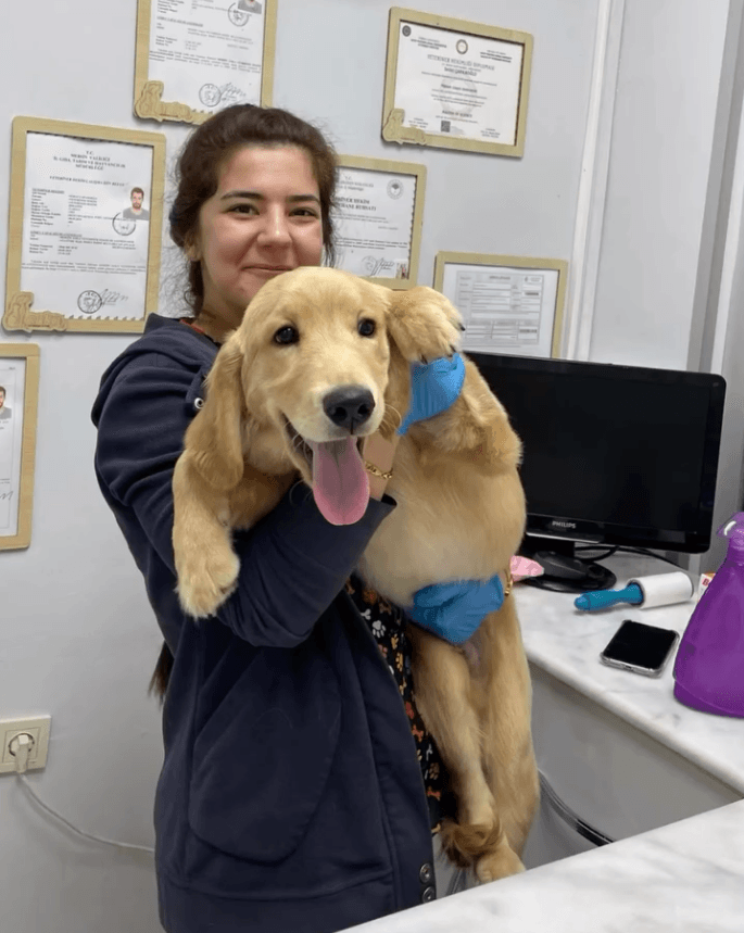 Şanssım Çapanoğlu, DVM