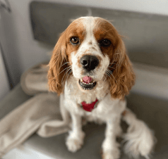 4.7 Google Rating - Read Our Reviews →