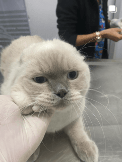 4.7 Google Rating - Read Our Reviews →