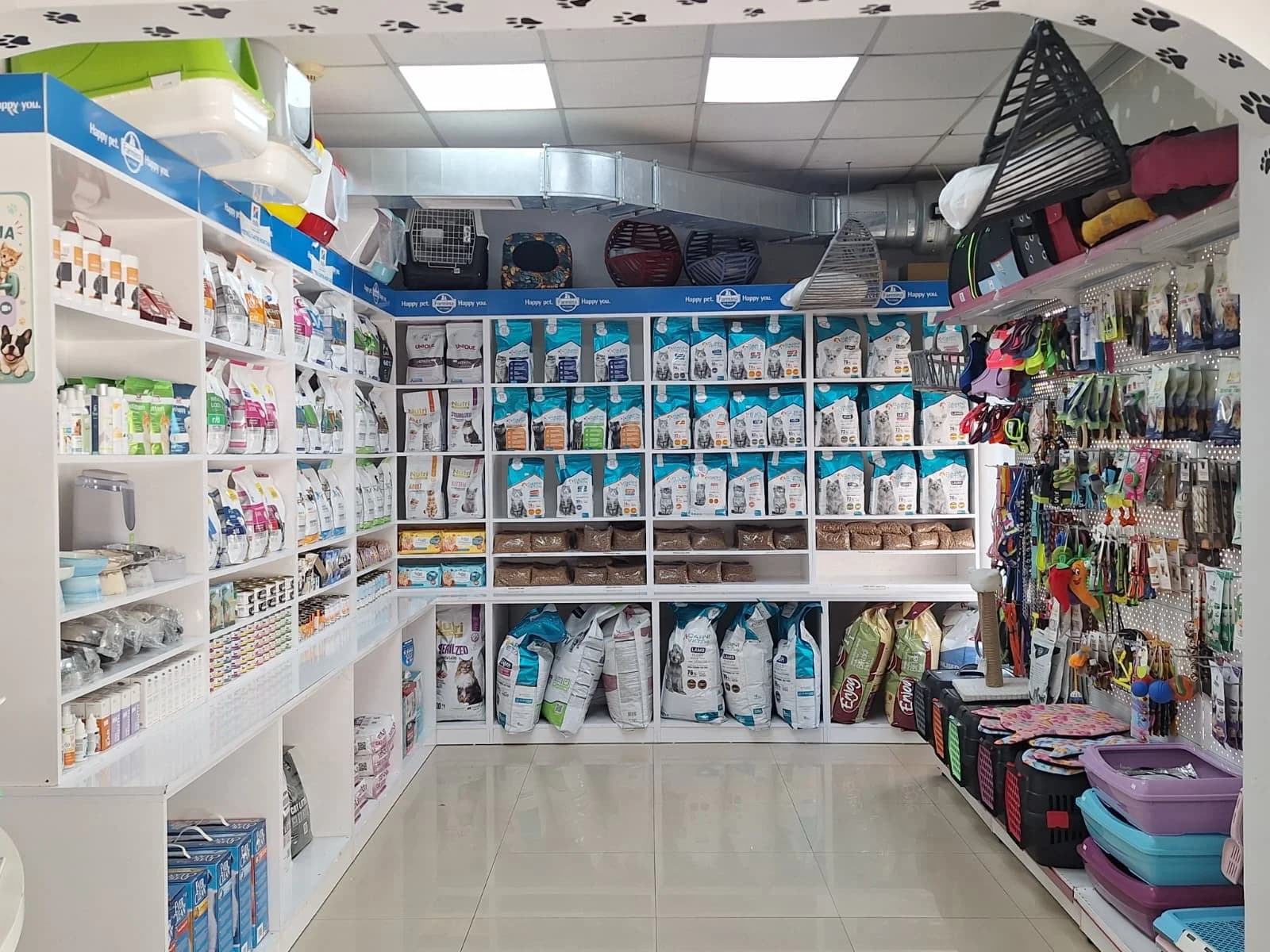 Anka Veteriner Kliniği beslenme danışmanlığı / klinik içi / genel bakım görseli 3