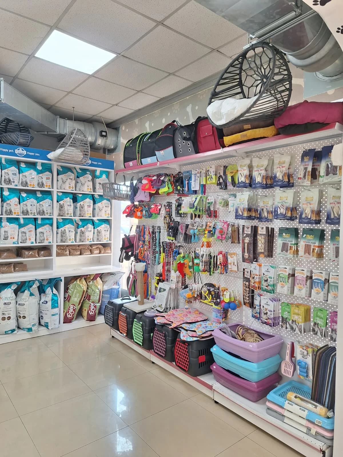 Anka Veteriner Kliniği beslenme danışmanlığı / klinik içi / genel bakım görseli 4