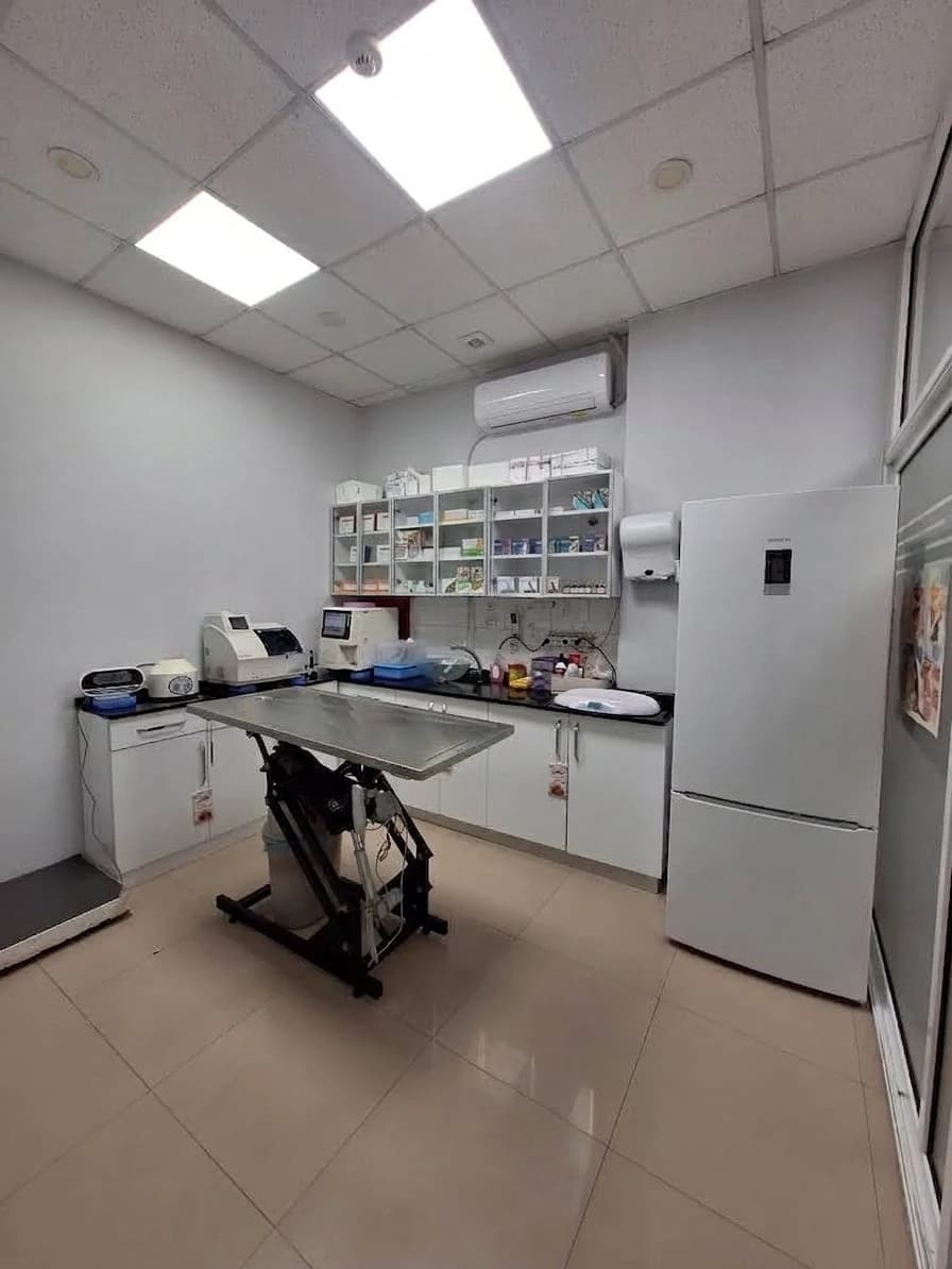 Anka Veteriner Kliniği Fotoğraf 3