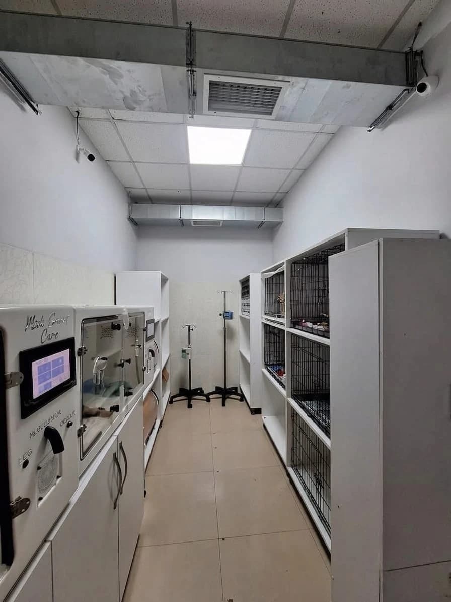 Anka Veteriner Kliniği Fotoğraf 5