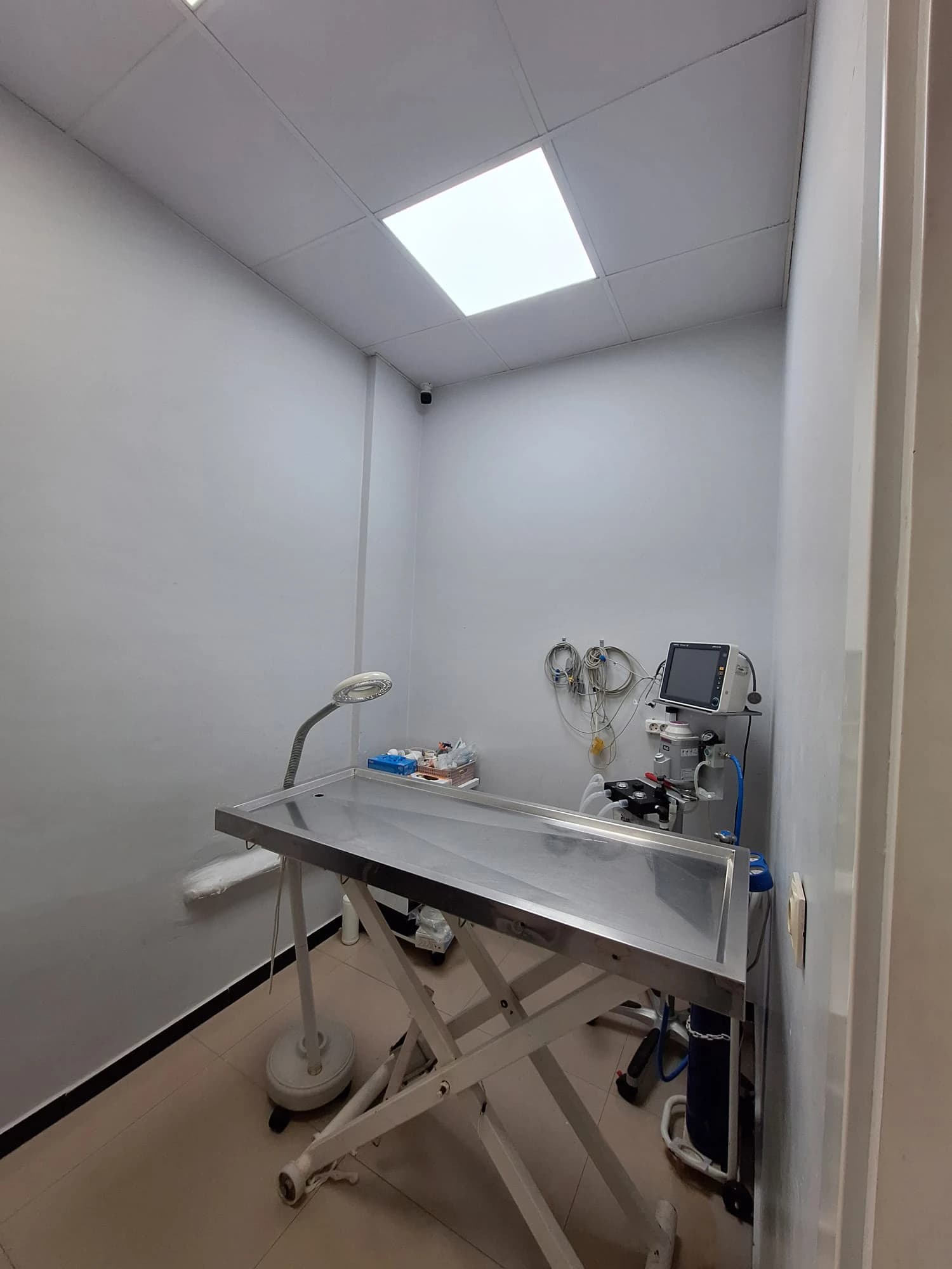 Anka Veteriner Kliniği Fotoğraf 6