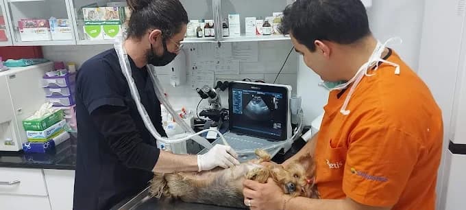 Anka Veteriner Kliniği Fotoğraf 7