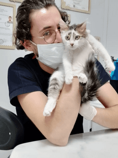 Anka Veteriner Kliniği Mersin Güncel Vaka ve Klinikten Kare 7