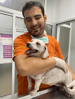 Anka Veteriner Kliniği Mersin Güncel Vaka ve Klinikten Kare 8