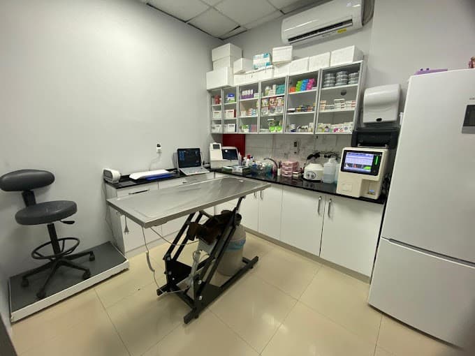 Anka Veteriner Kliniği Fotoğraf 2