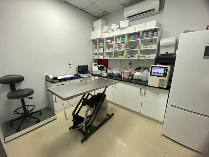 Anka Veteriner Kliniği Fotoğraf 2