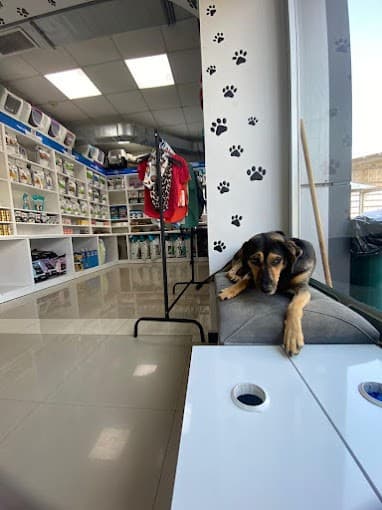 Anka Veteriner Kliniği Fotoğraf 4