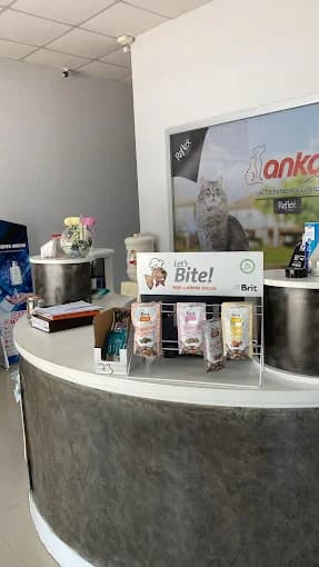 Anka Veteriner Kliniği Fotoğraf 5