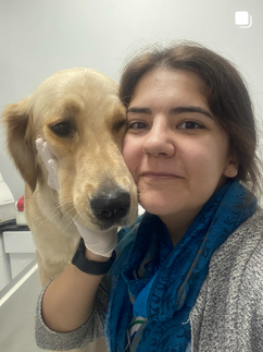 Anka Veteriner Kliniği Mersin klinik yaşamından kare 12
