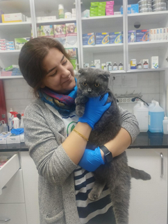 Anka Veteriner Kliniği Mersin klinik yaşamından kare 2