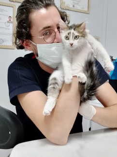 Anka Veteriner Kliniği Mersin klinik yaşamından kare 7