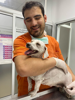 Anka Veteriner Kliniği Mersin klinik yaşamından kare 8